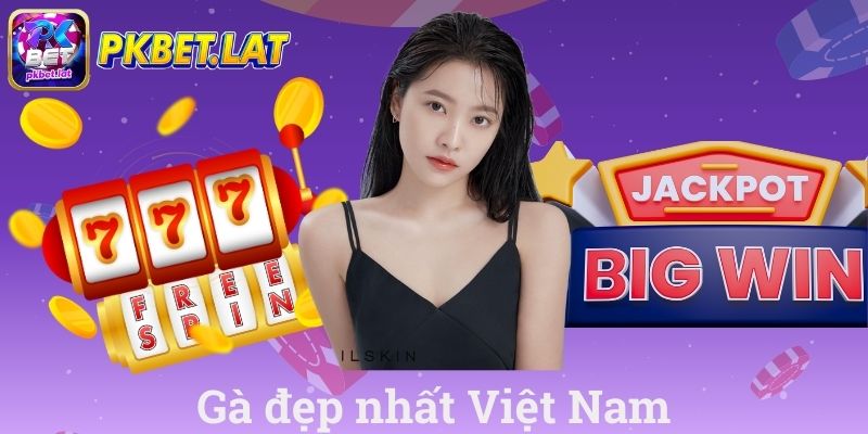 Gà Đẹp Nhất Việt Nam